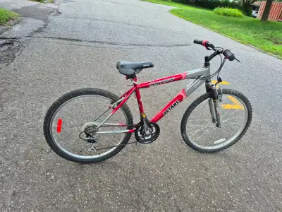 Carrera Octane tuned MTB, View more