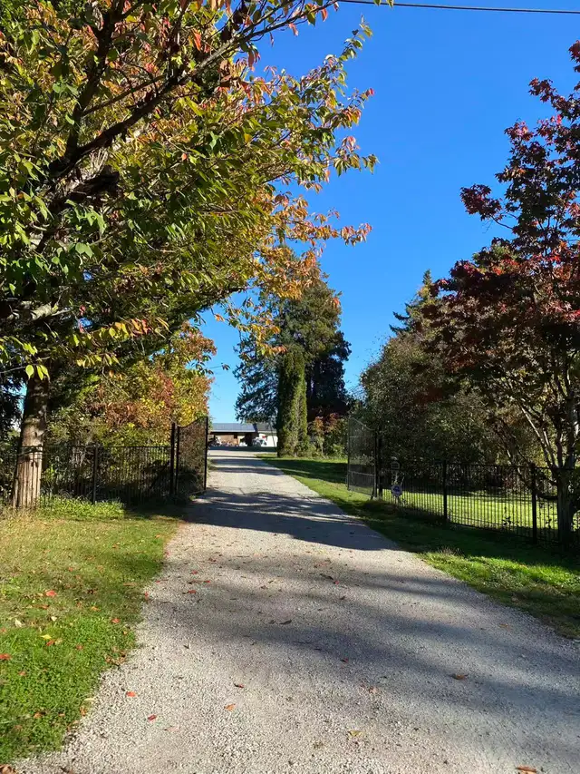 3 bedroom 2 washroom suite for rent at Aldergrove
