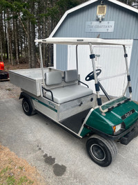 Golf Cart Utility Cart Gas