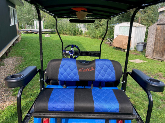 ELECTRIC GOLF CART - ONE OF A KIND - Don't get left behind! in Golf in Strathcona County - Image 2