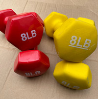 Rubber coated dumbbell 8lbs & steel weight plates 15lbs
