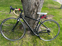 Trek Lexa WSD Road Bike 47cm