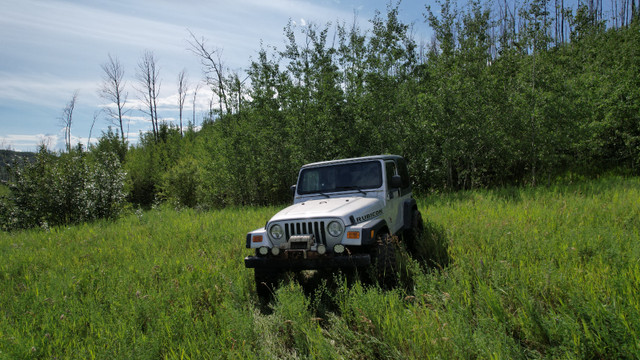 2003 Jeep Wrangler Rubicon in Cars & Trucks in Fort McMurray