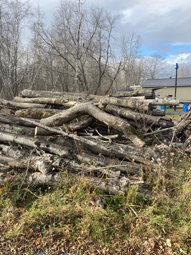 Bois de chauffage mélanger à donner,vous n’avez qu’à le ramasser dans Objets gratuits  à Ouest de l’Île - Image 2