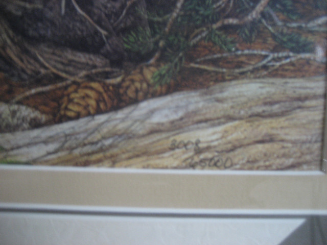 BEV DOOLITTLE-PRAYER FOR THE WILD THINGS LE FRAMED in Arts & Collectibles in Delta/Surrey/Langley - Image 3