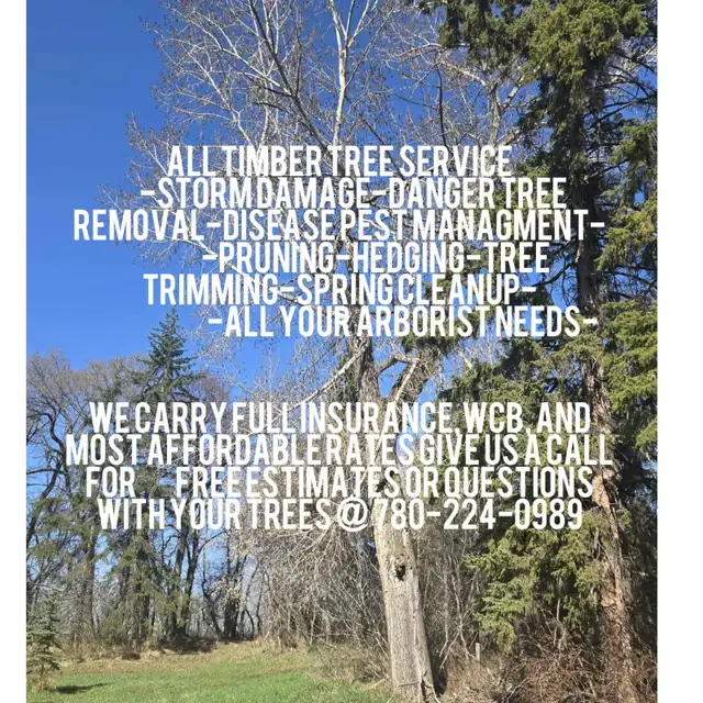 Tree Service-Tree Removal-Pruning414906060773140480