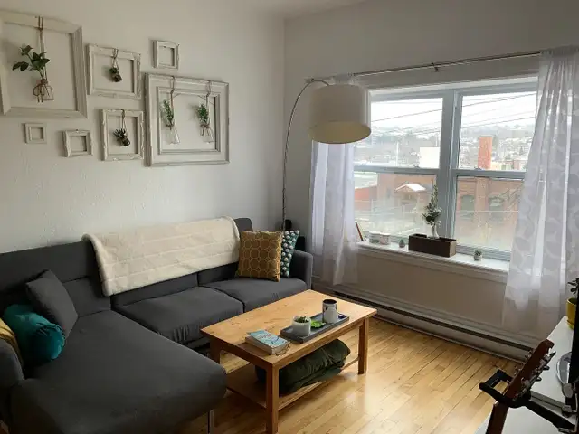 Renovated 3.5-Bedroom Apartment in the Heart of Downtown, Close to Everything!