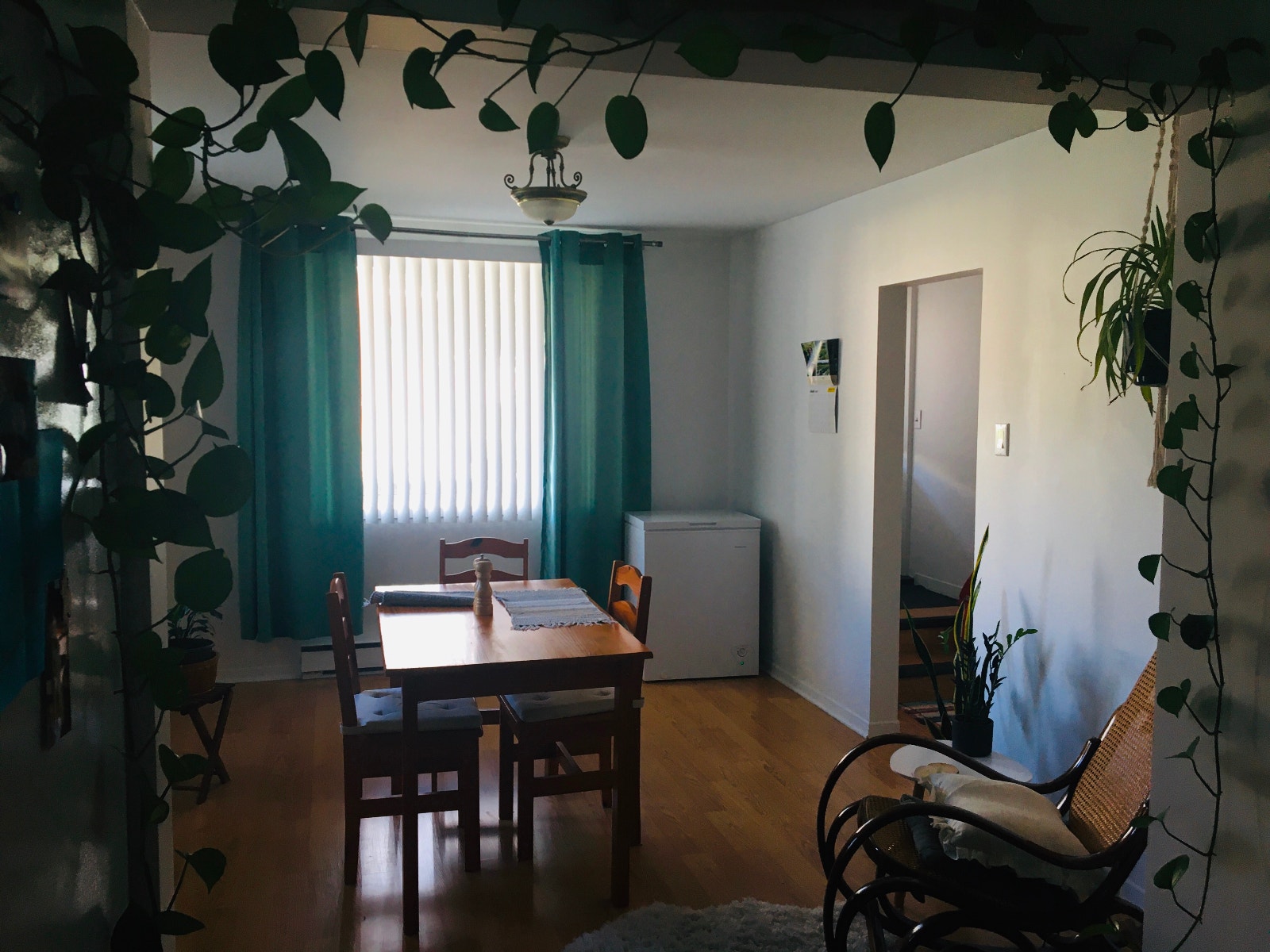 Appartement 51/2 à louer — photo 3