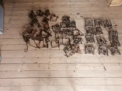 Trap / pieges, View more