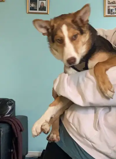  needs more space , View more