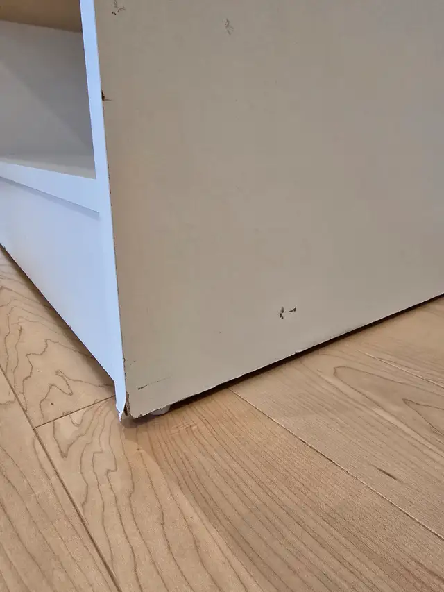 Cabinet, bookshelf, organizer with door in Bookcases & Shelving Units in Ottawa - Image 4