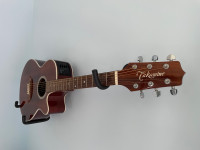 Guitare Takamine EF261S-AN 