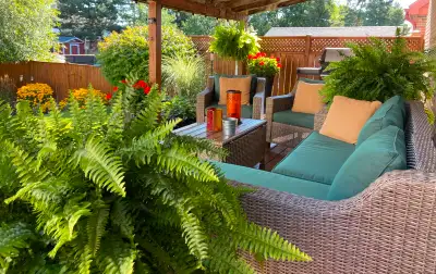 This rental is for ONE PERSON only, no couples Extremely well kept (furnished) basement room rental...