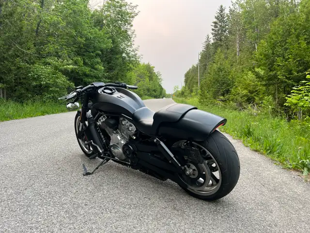 Harley Davidson V-rod Vrod muscle 2015 in Street, Cruisers & Choppers in Cambridge - Image 4