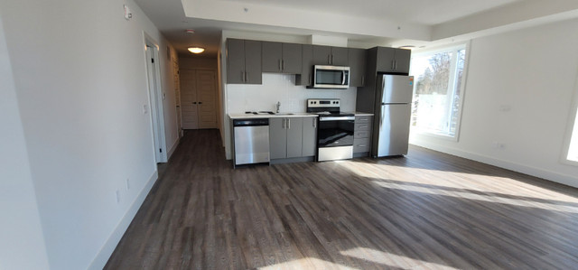 Apartment for Rent - 214-107 Roger St Waterloo, ON, N2J 1A4 in Long Term Rentals in Kitchener / Waterloo - Image 3