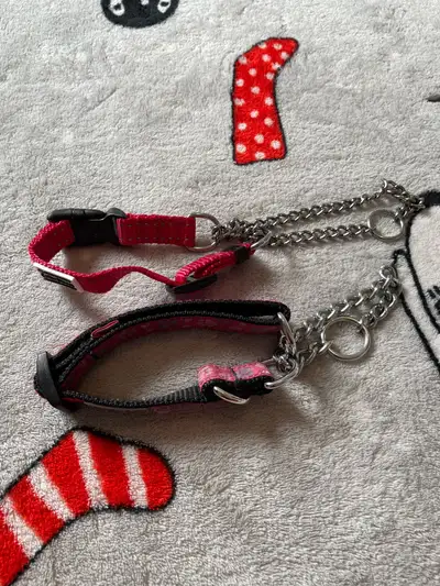 Martingale Small Dog Collars, View more