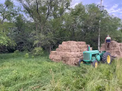 Nice grass hay for sale. Baled it nice and dry. Have approx 170 bales. The bales on the trailer (see...