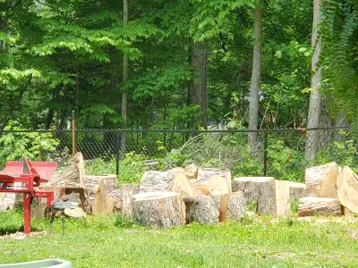 Took down a large silver maple and have exess wood. Pieces are approximately 24" wide by 16" thick....