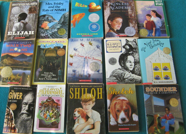 Newbery Award Winning Novels Teacher Resource Junior/Primary in Children & Young Adult in Norfolk County