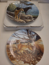 The Cougar The Jaguar Collector Plates 1989 Knowles