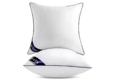 2 Siluvia Pillow Inserts - 18"x18", View more