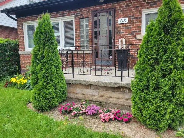 Student Room in 6 bed, 2 bath house in Westdale for Sept.1st