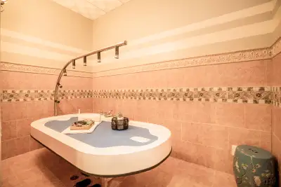 Full Body Massage 45 mins $45 only $10 OFF table shower massage, View more