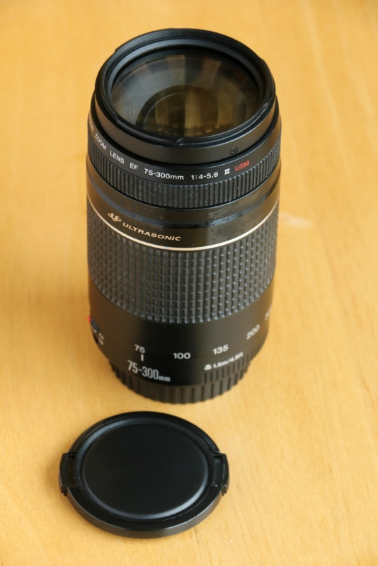 (( Super Teleobjectif CANON EF 75-300mm f4-5.6 III Ultra USM )) dans Appareils photo et caméras  à Ville de Québec - Image 3