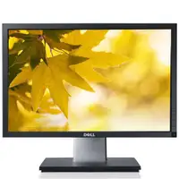 Dell Professional P1911 19"Wide HD LED Backlit LCD TN  Monitor