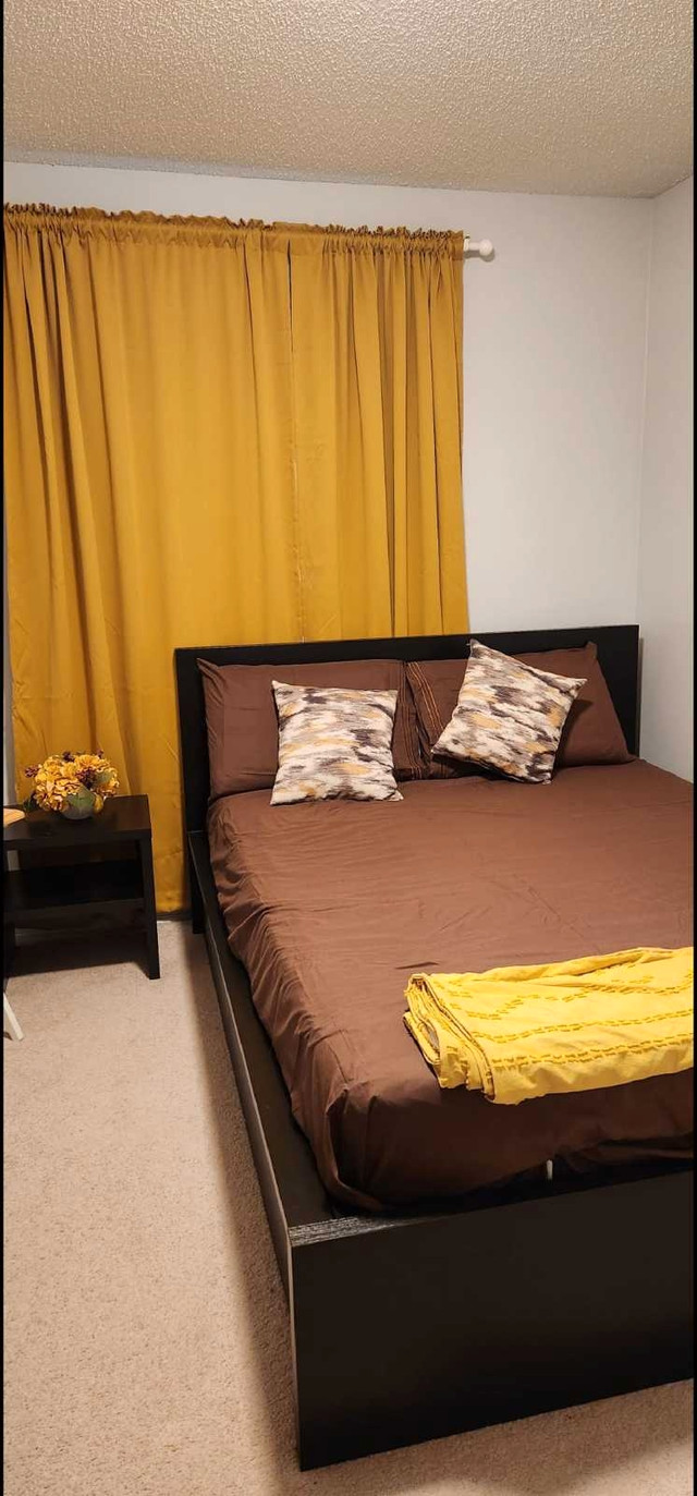 Room for rent for female  in Room Rentals & Roommates in Edmonton - Image 3
