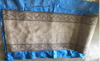22' Hallway Runner Carpet Hallway Rug - $95, View more