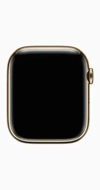Apple Watch Series 9 GPS + Cellular, 45mm Gold Stainless Steel C