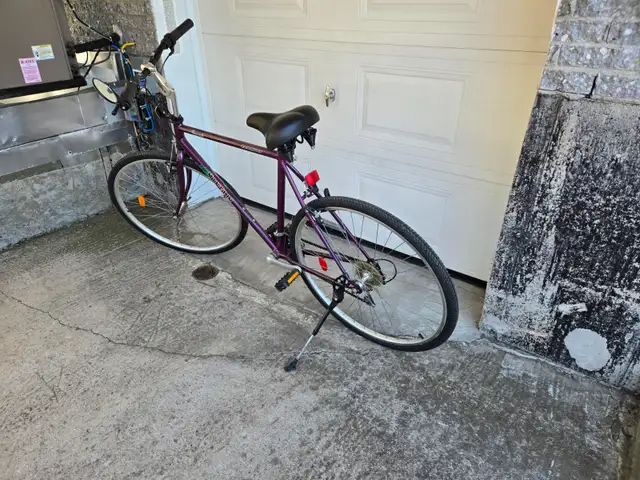 Velo Minelli454255949372477442