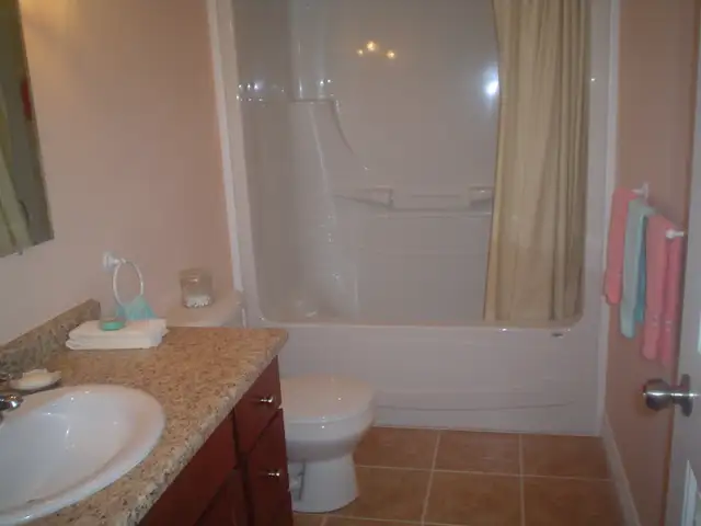 LOOKING FOR A PAINTER YOU CAN TRUST ?582838694530273286