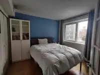 Studio 1 bed  all incl. Montreal McGill Conc.  Short /Long Stay