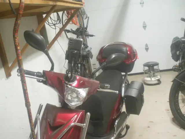 emmo hornet x ebike605035310645268482
