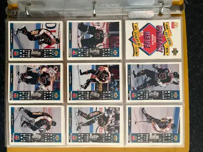 1993-94 McDonalds hockey cards, View more