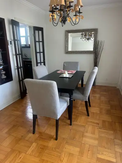 amazing large 3 1/2 downtown montreal