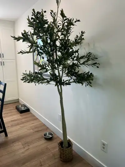 Add a touch of greenery to your home with this charming fake olive tree, standing tall and nestled i...