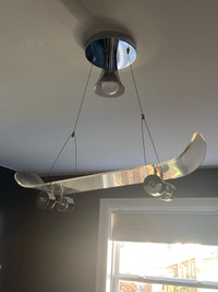 Skateboard ceiling light fixture