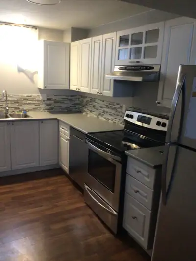 1 bedroom/and den basement suite for rent july 1