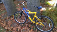 CARRERA ELDORADO Mountain Bike With Suspension