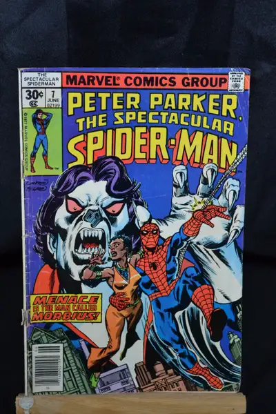 Peter Parker The Spectacular Spider-Man # 7 - 1977 - Marvel, View more