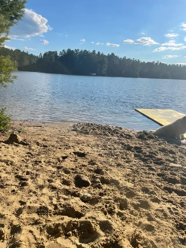 waterfront private cabin for rent Temagami in Ontario in Canada - Image 20