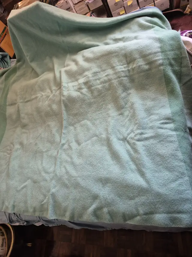 Hudson's Bay 4 Point Wool Blanket in Bedding in Ottawa - Image 3