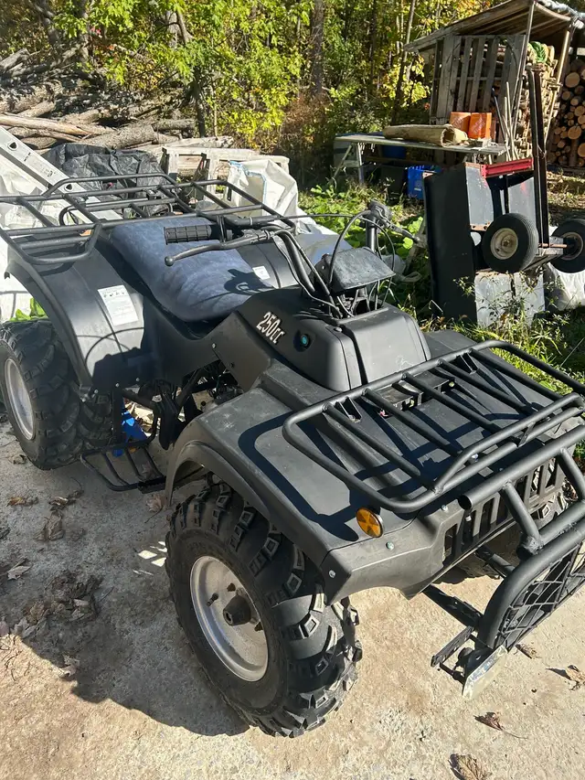250cc ATV in ATVs in Ottawa - Image 2