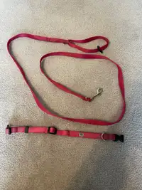 Dog leash &amp; collar - dark pink 