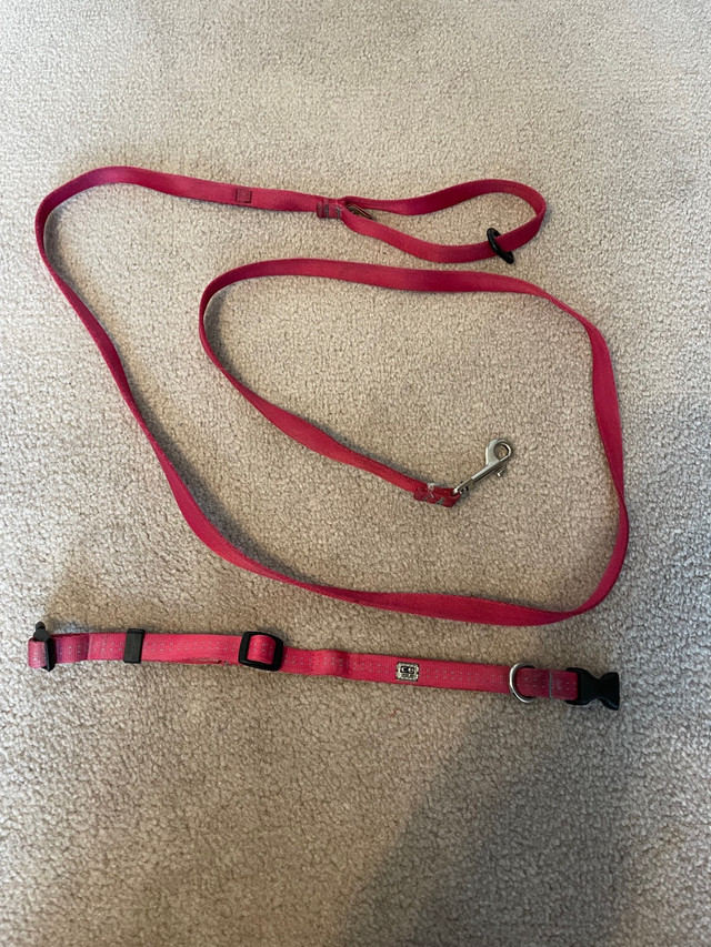 Dog leash &amp; collar - dark pink  in Accessories in Annapolis Valley