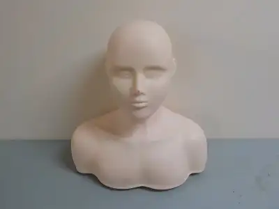 Torso/Bust Display, View more