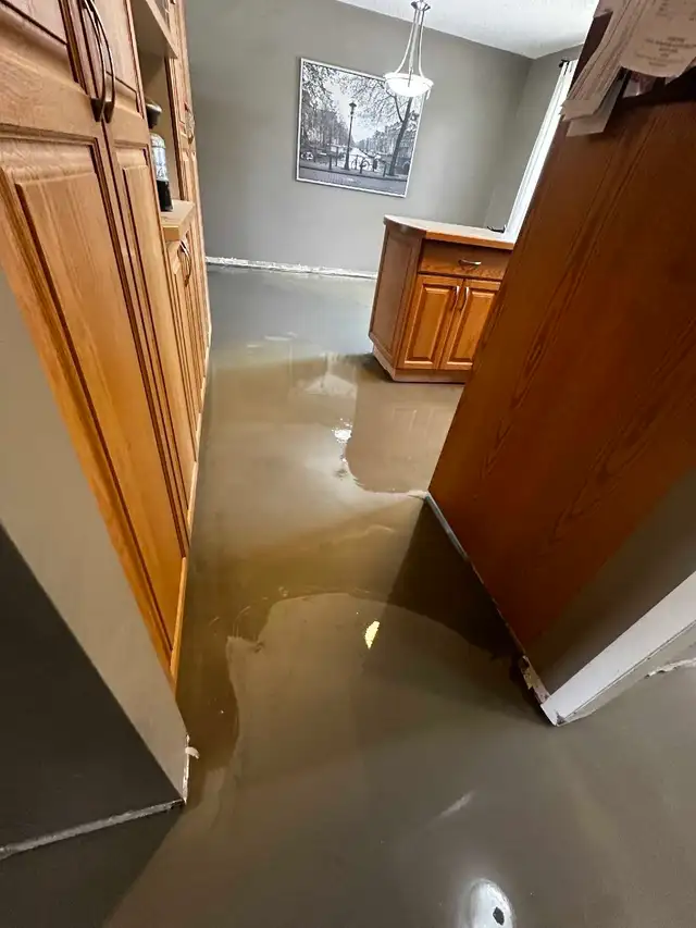 flooring installer for side work586457790106183682
